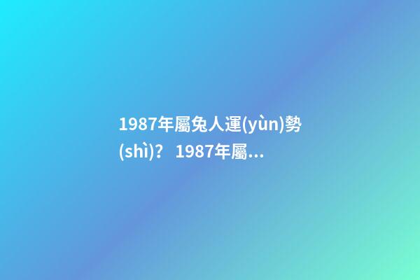 1987年屬兔人運(yùn)勢(shì)？ 1987年屬兔的人好不好 1987年屬兔的人運(yùn)勢(shì)好不好-第1張-觀點(diǎn)-玄機(jī)派